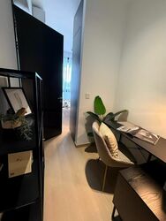 Irwell Hill Residences (D9), Apartment #467232061